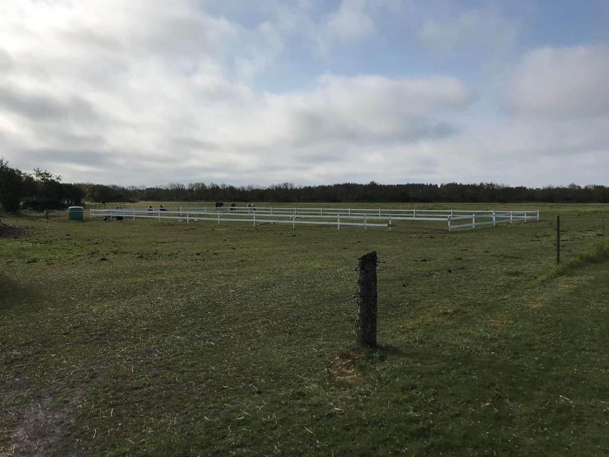 Bb-Vadehavet Ferielejlighed Til 6 Personer Ved Nationalpark Vadehavet Ribe Luaran gambar