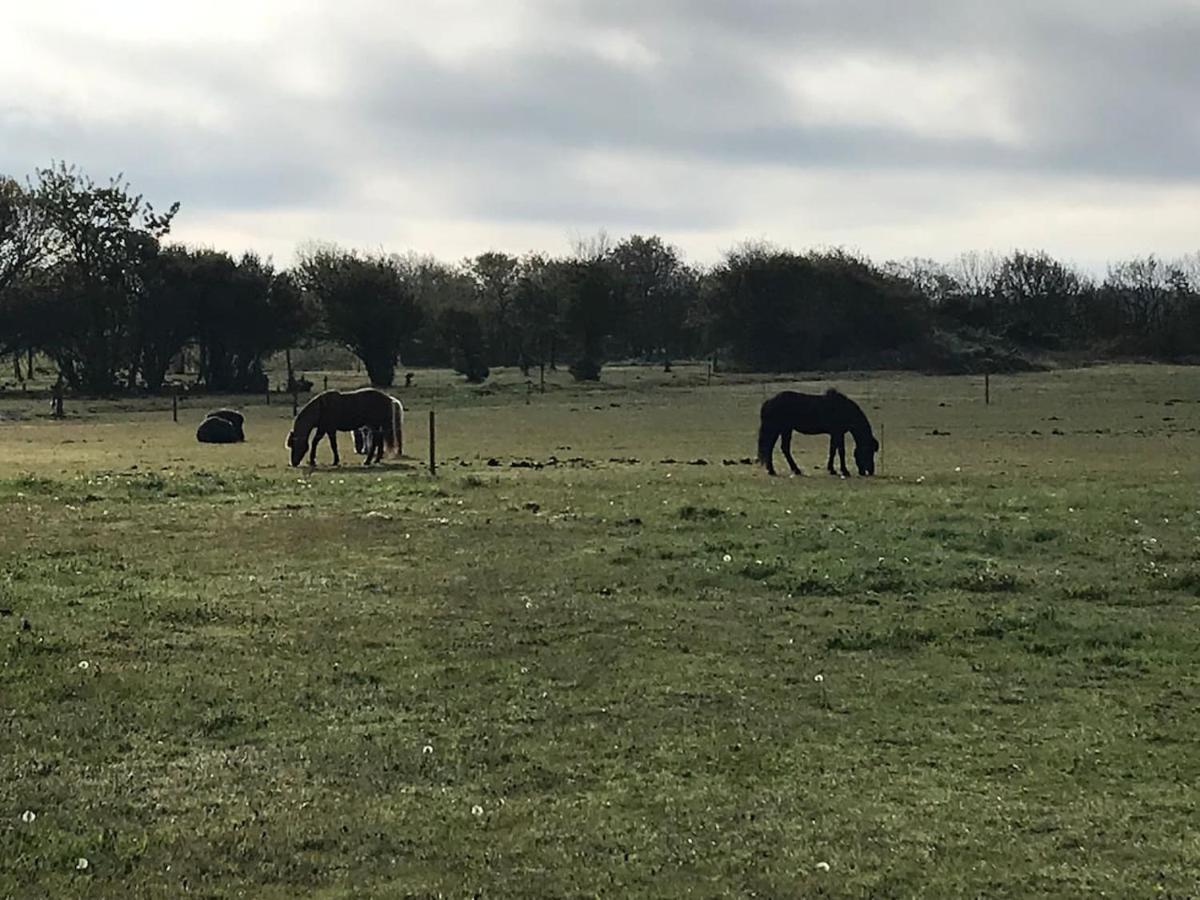 Bb-Vadehavet Ferielejlighed Til 6 Personer Ved Nationalpark Vadehavet Ribe Luaran gambar