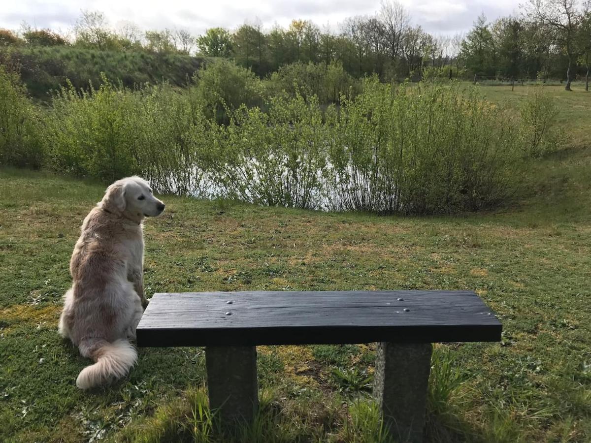 Bb-Vadehavet Ferielejlighed Til 6 Personer Ved Nationalpark Vadehavet Ribe Luaran gambar